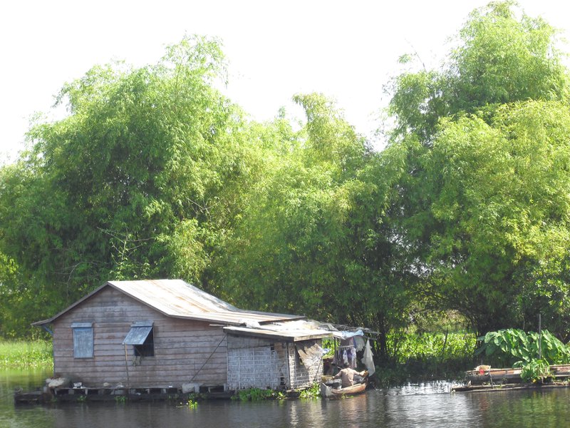 Image CIMG3534.JPG