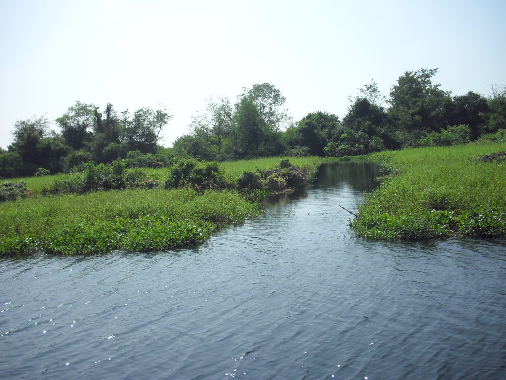 Image CIMG3536.JPG
