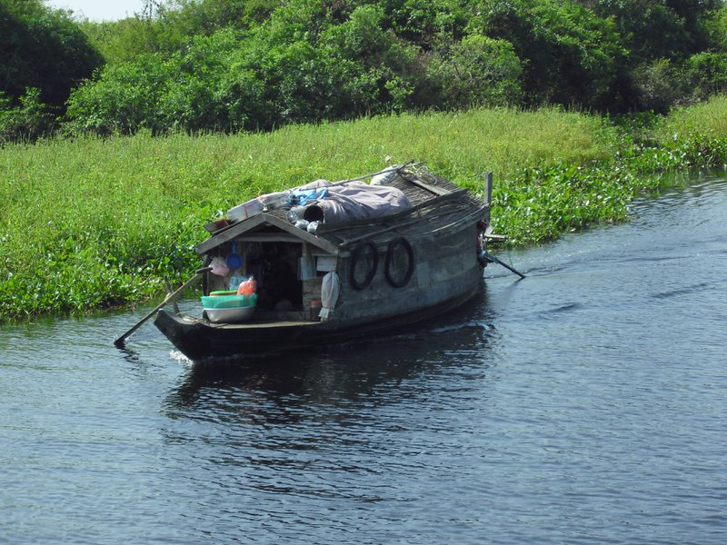 Image CIMG3538.JPG
