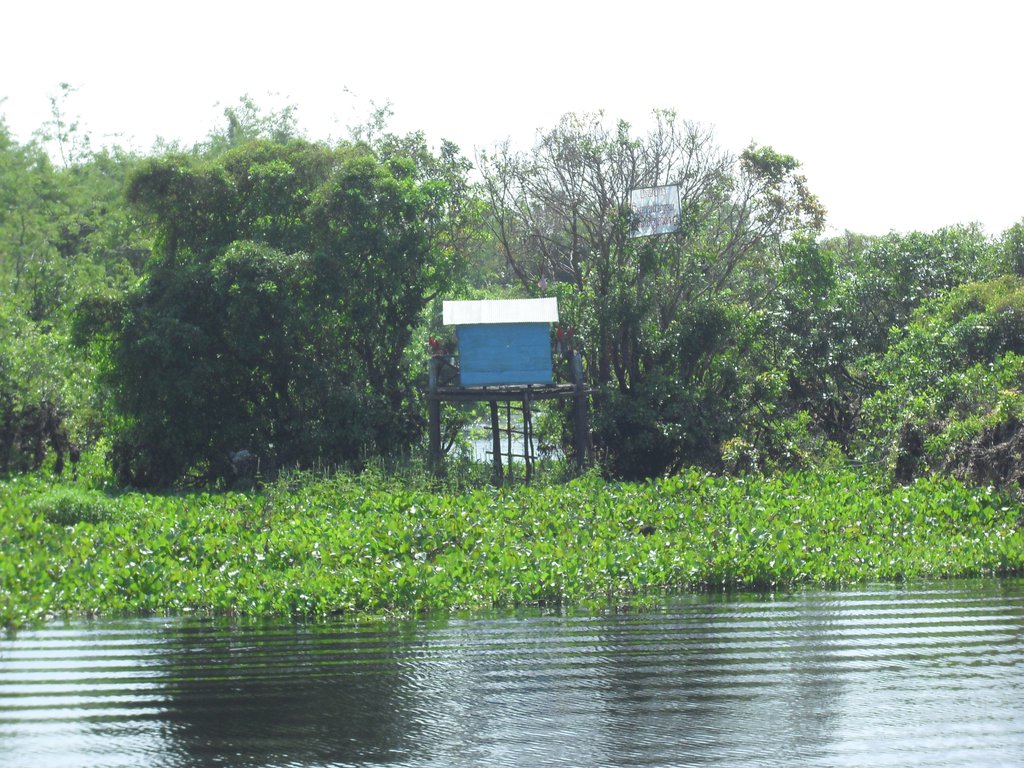 Image CIMG3546.JPG