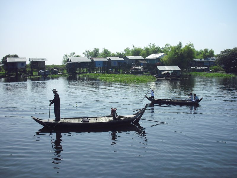 Image CIMG3556.JPG