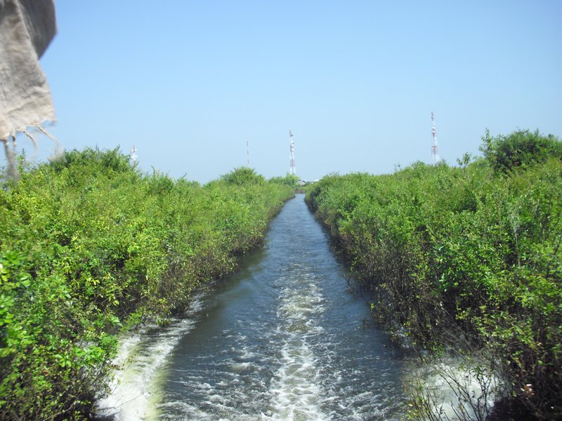 Image CIMG3567.JPG