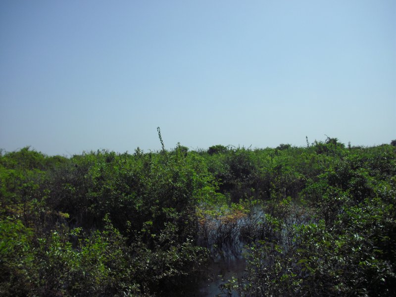 Image CIMG3571.JPG