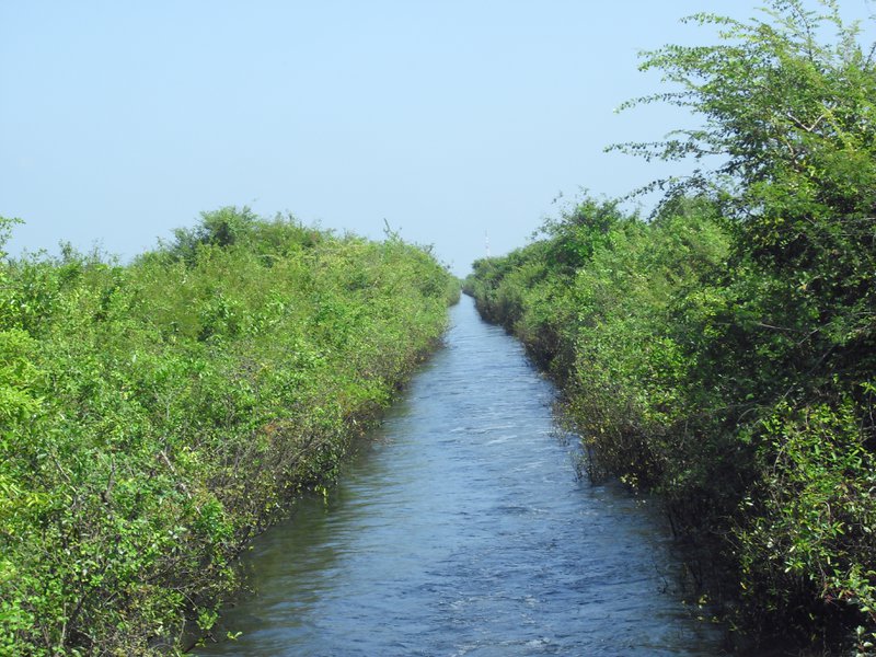 Image CIMG3574.JPG