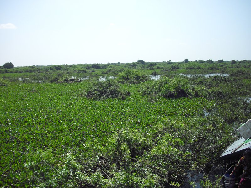 Image CIMG3577.JPG