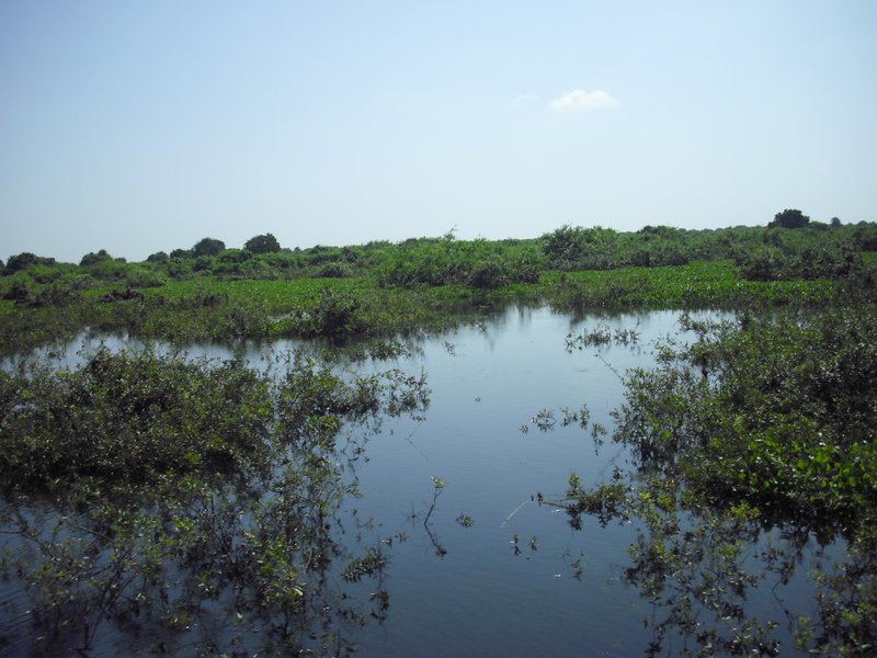 Image CIMG3579.JPG