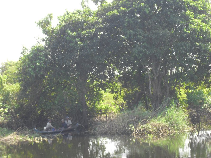 Image CIMG3584.JPG