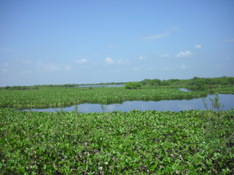 Image CIMG3586.JPG