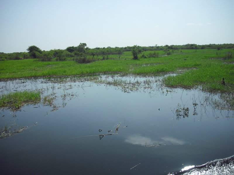 Image CIMG3589.JPG