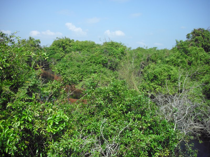 Image CIMG3591.JPG