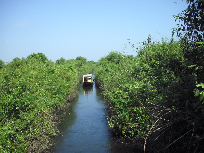 Image CIMG3598.JPG