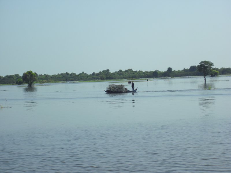Image CIMG3609.JPG