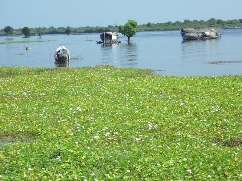 Image CIMG3614.JPG