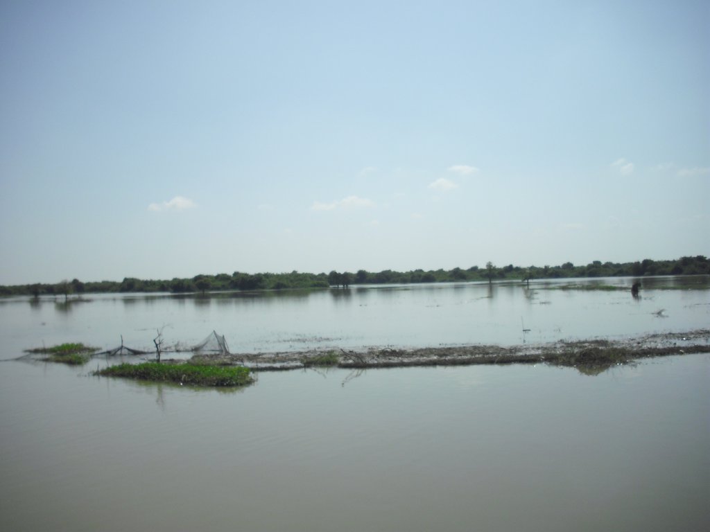 Image CIMG3626.JPG