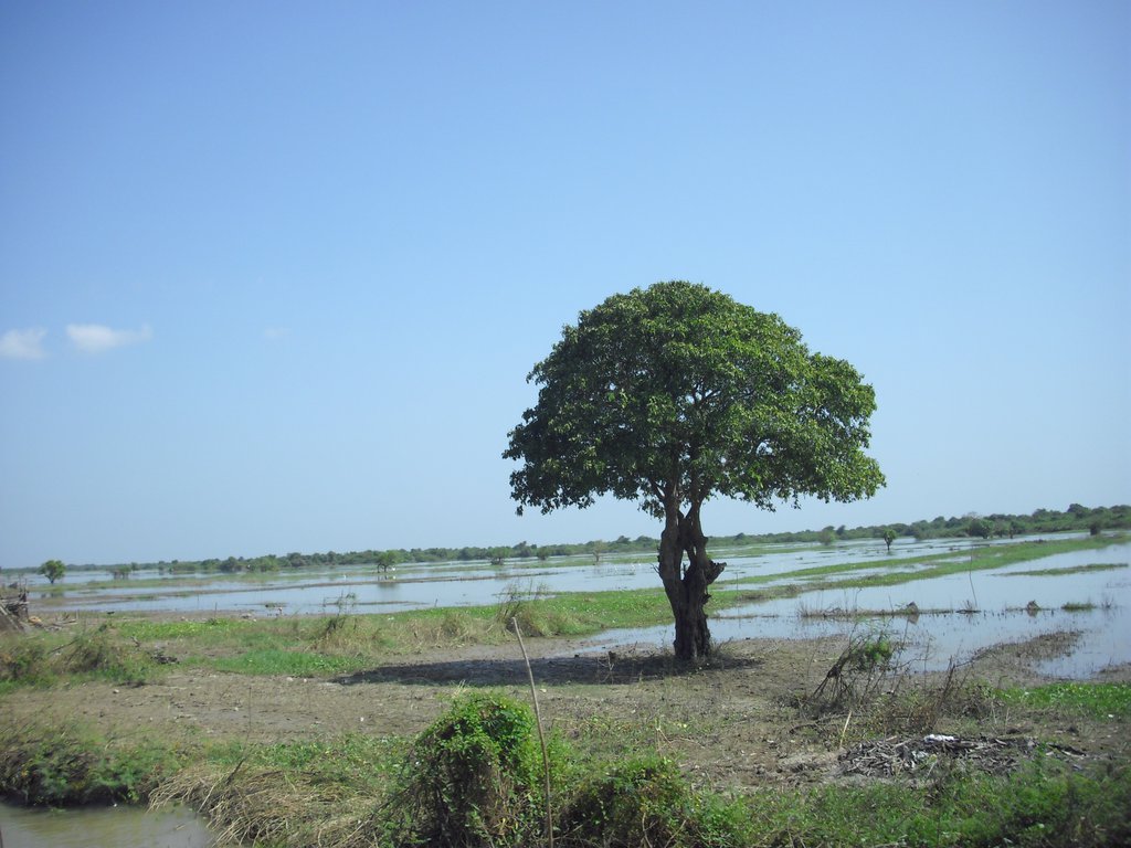 Image CIMG3628.JPG