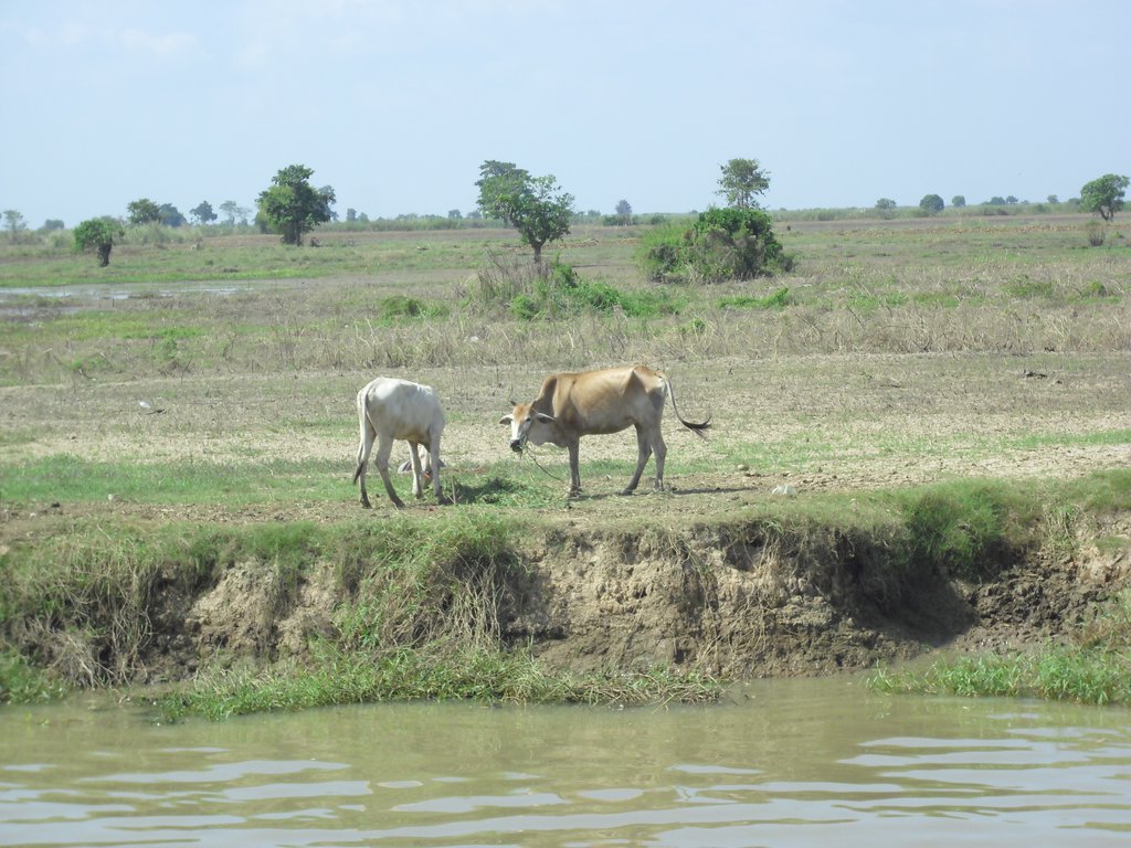 Image CIMG3634.JPG
