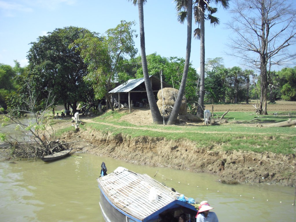 Image CIMG3638.JPG