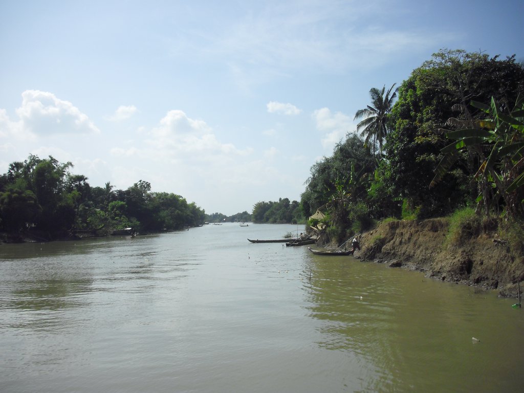 Image CIMG3646.JPG