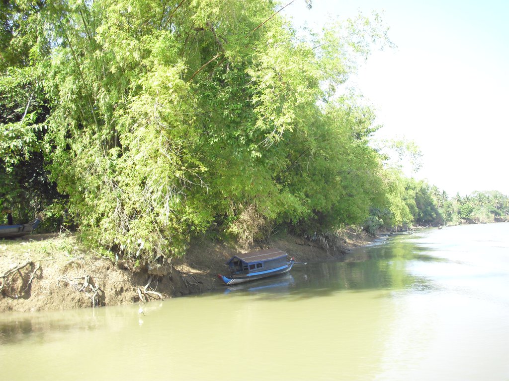 Image CIMG3649.JPG