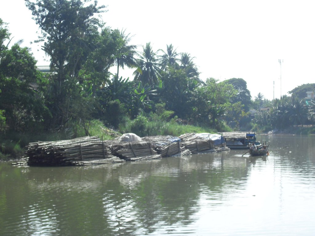 Image CIMG3661.JPG