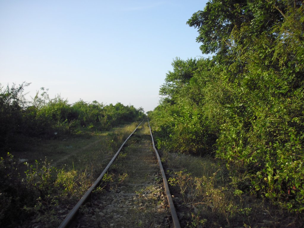 Image CIMG3673.JPG