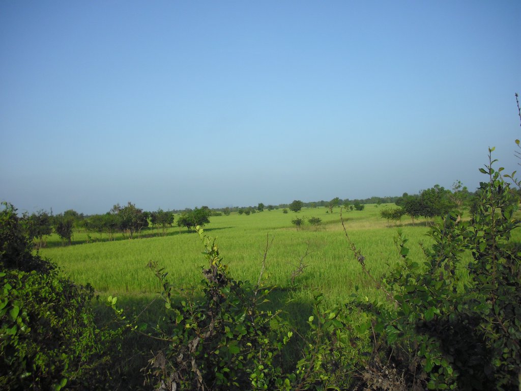 Image CIMG3674.JPG