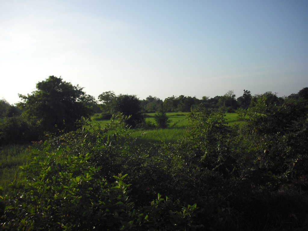 Image CIMG3675.JPG