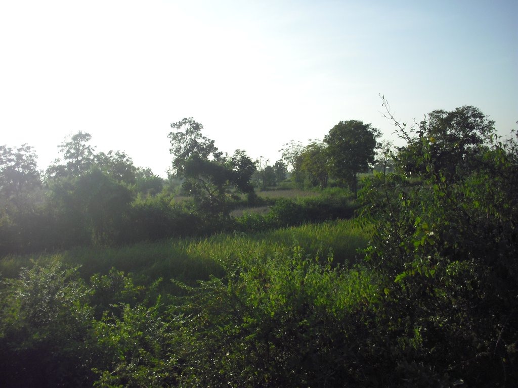 Image CIMG3678.JPG