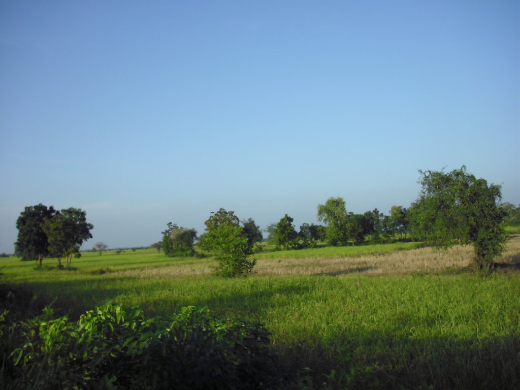 Image CIMG3679.JPG
