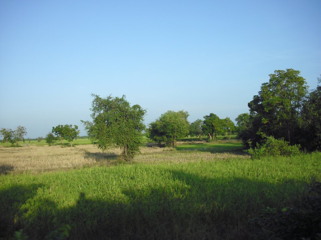 Image CIMG3680.JPG