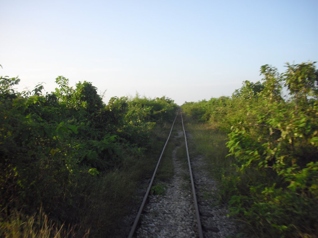 Image CIMG3681.JPG