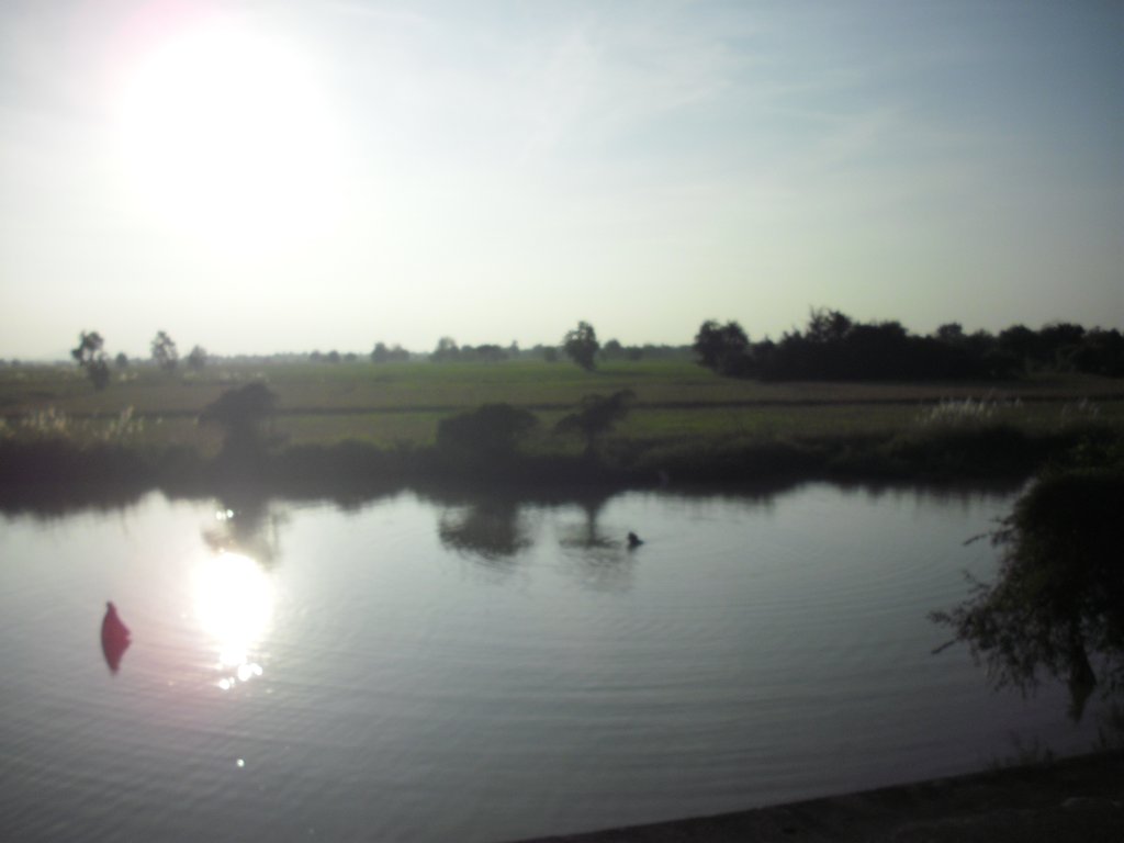 Image CIMG3682.JPG