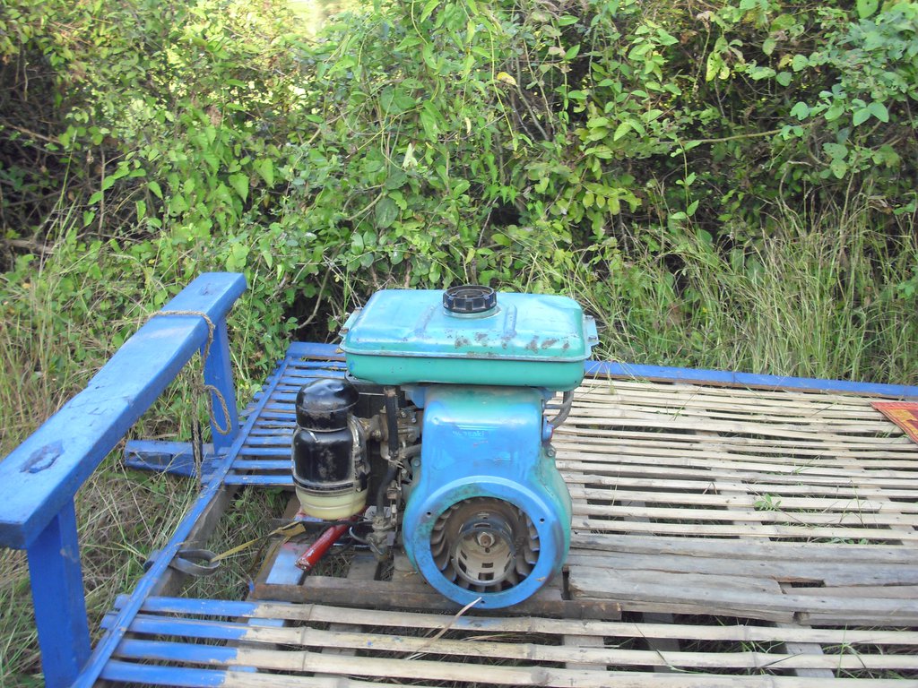 Image CIMG3689.JPG