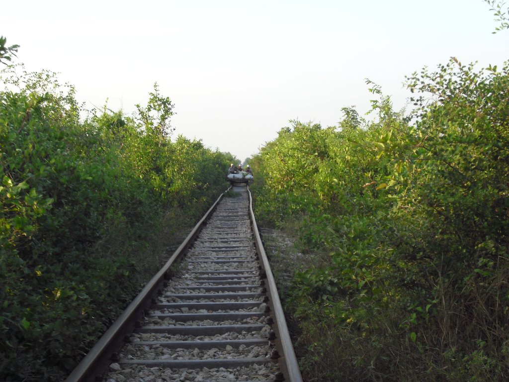 Image CIMG3694.JPG