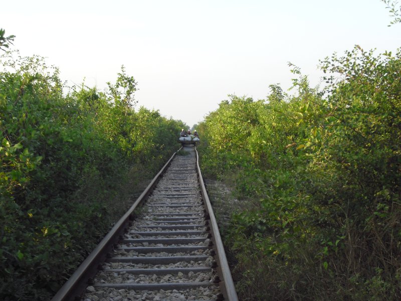 Image CIMG3694.JPG