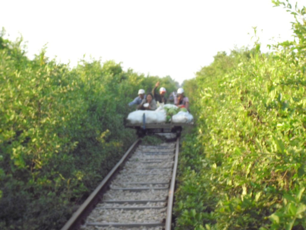 Image CIMG3695.JPG
