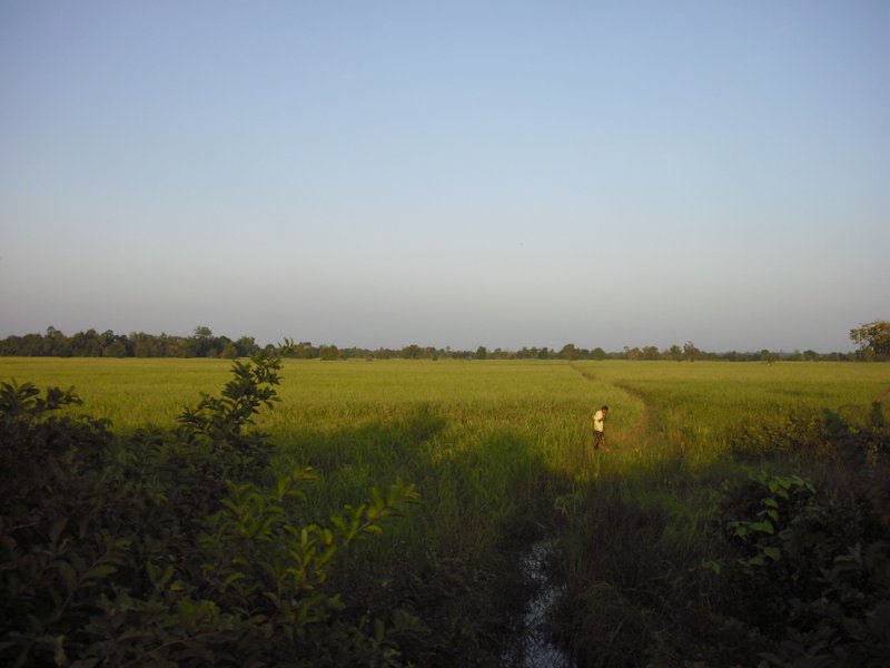 Image CIMG3701.JPG
