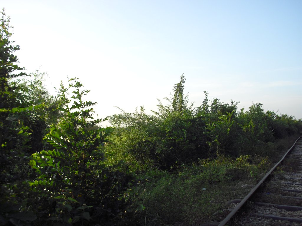 Image CIMG3702.JPG