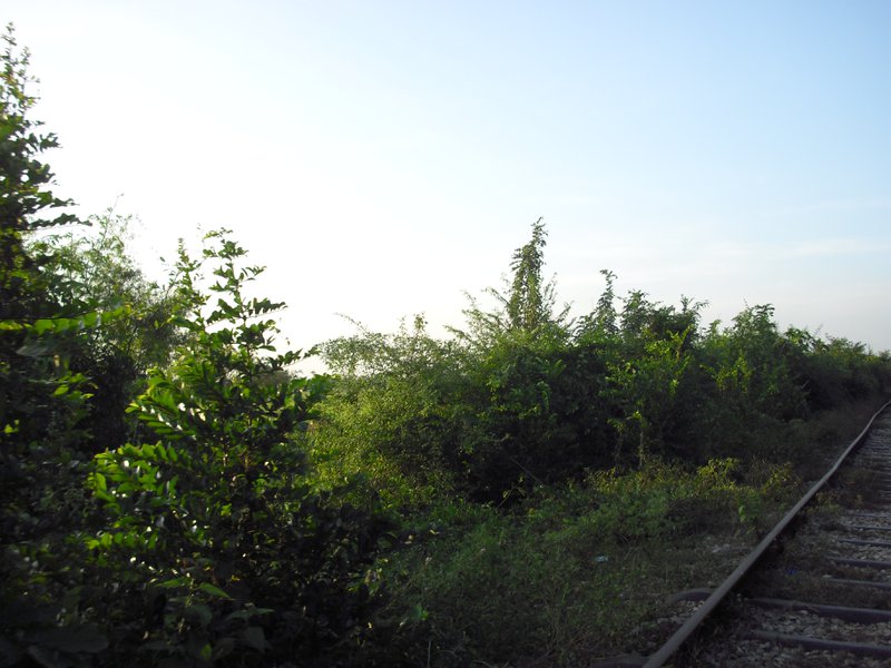 Image CIMG3702.JPG