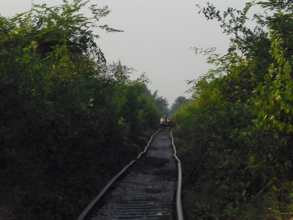 Image CIMG3703.JPG