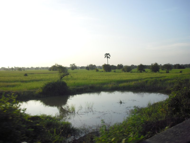 Image CIMG3705.JPG