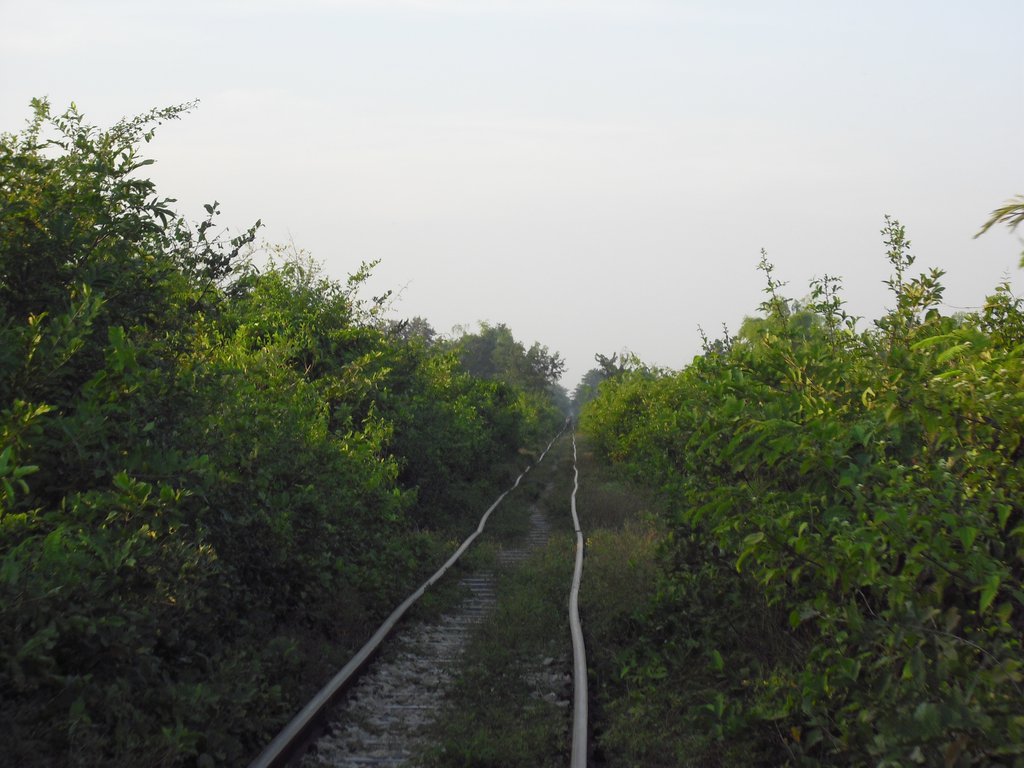 Image CIMG3706.JPG