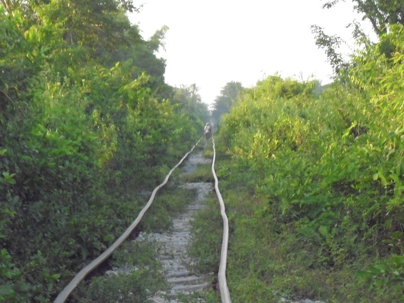 Image CIMG3707.JPG