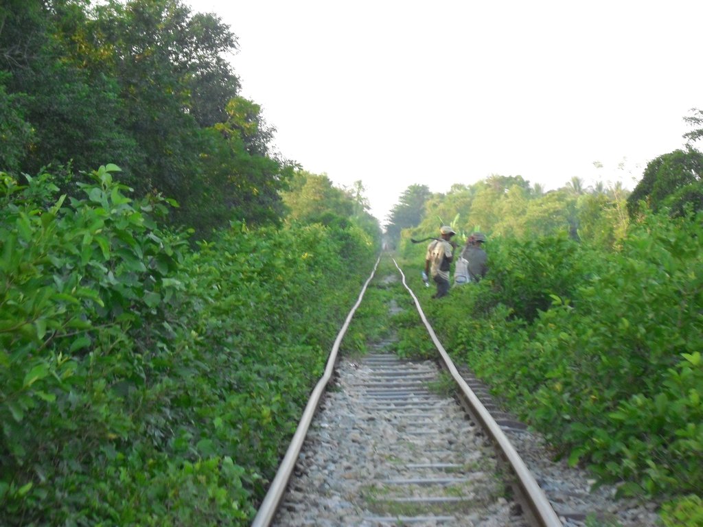 Image CIMG3709.JPG