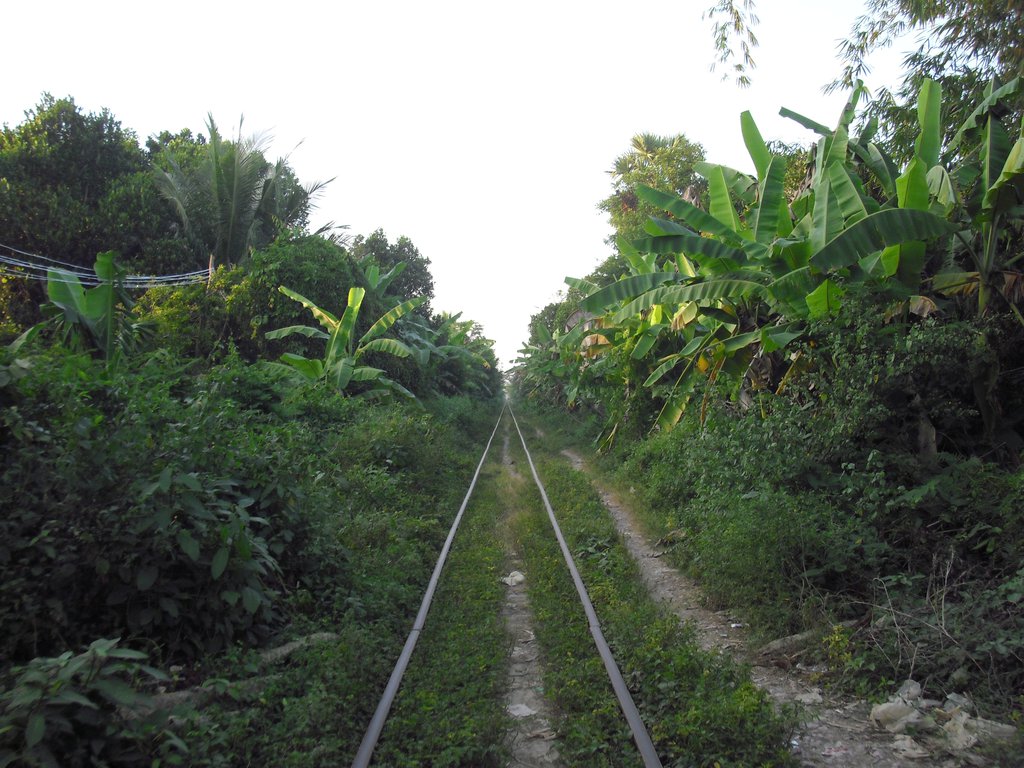 Image CIMG3713.JPG
