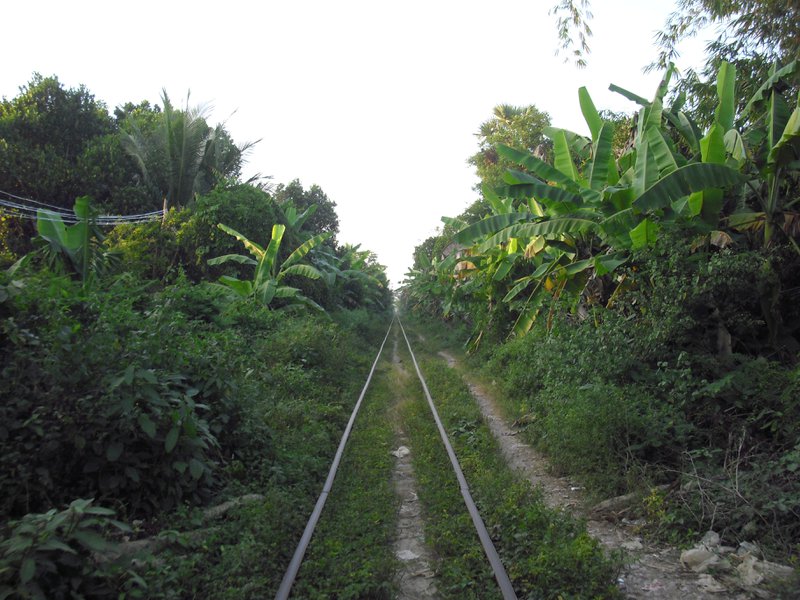 Image CIMG3713.JPG