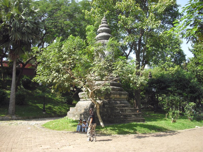 Image CIMG3746.JPG