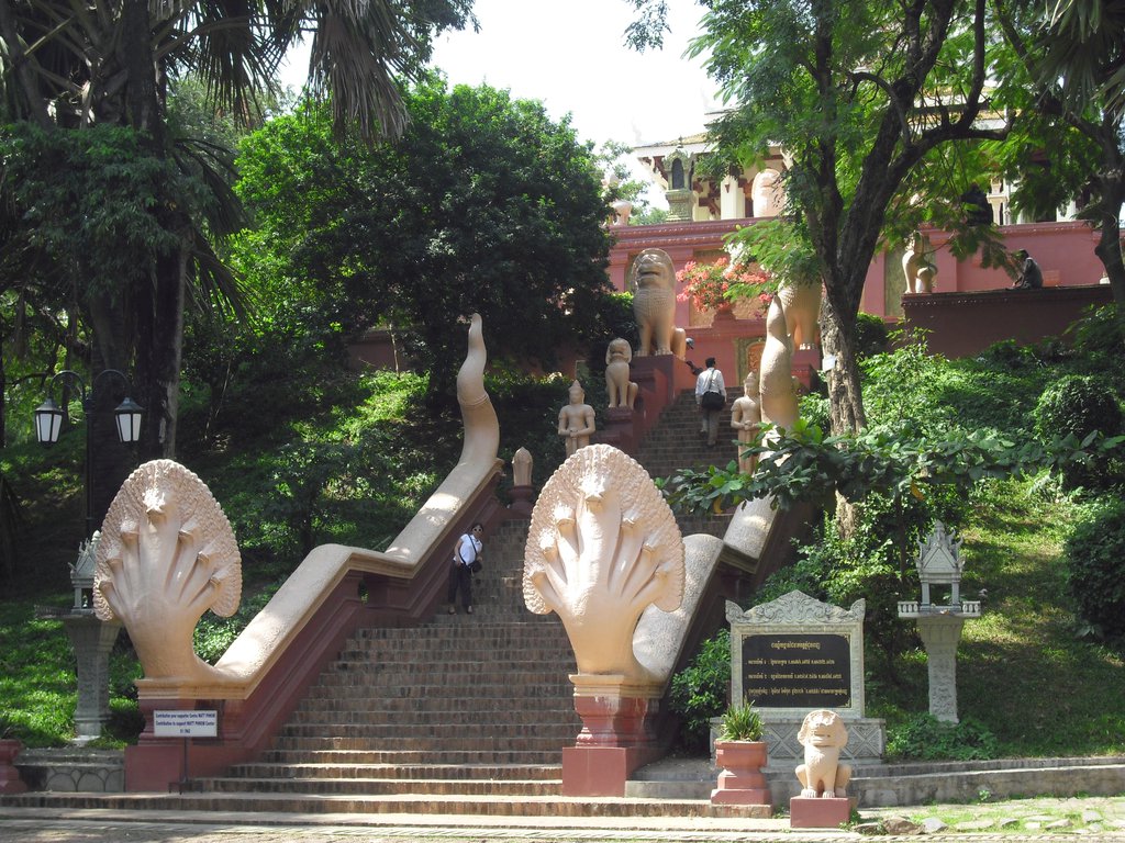 Image CIMG3747.JPG