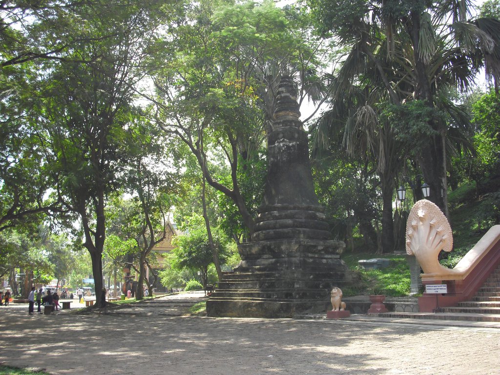 Image CIMG3748.JPG