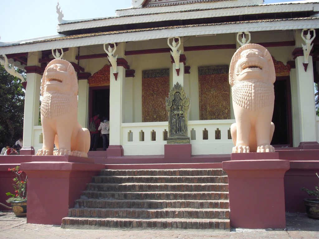 Image CIMG3751.JPG